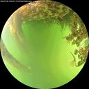 ./images/calvert/underwater/20260706/underwater20260706_145501M.jpg