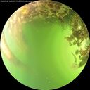 ./images/calvert/underwater/20260706/underwater20260706_161001M.jpg