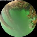 ./images/calvert/underwater/20260706/underwater20260706_204001M.jpg