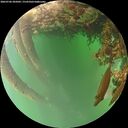 ./images/calvert/underwater/20260706/underwater20260706_205001M.jpg