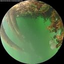 ./images/calvert/underwater/20260706/underwater20260706_205502M.jpg