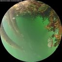 ./images/calvert/underwater/20260706/underwater20260706_210002M.jpg