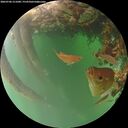 ./images/calvert/underwater/20260706/underwater20260706_211001M.jpg