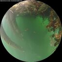./images/calvert/underwater/20260706/underwater20260706_211501M.jpg