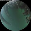 ./images/calvert/underwater/20260706/underwater20260706_214501M.jpg
