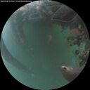 ./images/calvert/underwater/20260706/underwater20260706_215501M.jpg