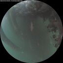 ./images/calvert/underwater/20260706/underwater20260706_220501M.jpg