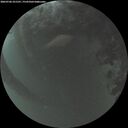 ./images/calvert/underwater/20260706/underwater20260706_221501M.jpg