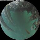 ./images/calvert/underwater/20260707/underwater20260707_053501M.jpg