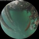 ./images/calvert/underwater/20260707/underwater20260707_055001M.jpg