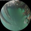 ./images/calvert/underwater/20260707/underwater20260707_060001M.jpg