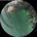 ./images/calvert/underwater/20260707/underwater20260707_060501M.jpg