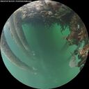 ./images/calvert/underwater/20260707/underwater20260707_061501M.jpg