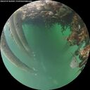 ./images/calvert/underwater/20260707/underwater20260707_062002M.jpg
