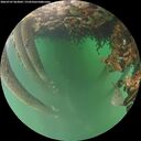 ./images/calvert/underwater/20260707/underwater20260707_063001M.jpg