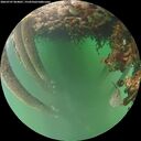 ./images/calvert/underwater/20260707/underwater20260707_064001M.jpg