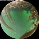 ./images/calvert/underwater/20260707/underwater20260707_064501M.jpg