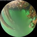 ./images/calvert/underwater/20260707/underwater20260707_070002M.jpg