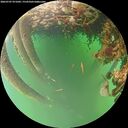 ./images/calvert/underwater/20260707/underwater20260707_071002M.jpg