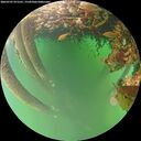 ./images/calvert/underwater/20260707/underwater20260707_071501M.jpg