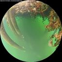 ./images/calvert/underwater/20260707/underwater20260707_072001M.jpg