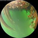 ./images/calvert/underwater/20260707/underwater20260707_074002M.jpg