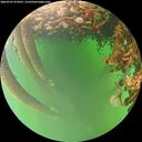 ./images/calvert/underwater/20260707/underwater20260707_074501M.jpg