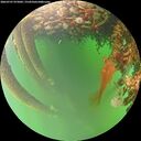 ./images/calvert/underwater/20260707/underwater20260707_075002M.jpg