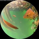 ./images/calvert/underwater/20260707/underwater20260707_080001M.jpg
