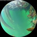 ./images/calvert/underwater/20260707/underwater20260707_080501M.jpg
