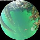 ./images/calvert/underwater/20260707/underwater20260707_083001M.jpg