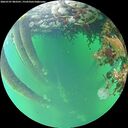 ./images/calvert/underwater/20260707/underwater20260707_083502M.jpg