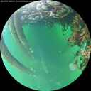 ./images/calvert/underwater/20260707/underwater20260707_084501M.jpg
