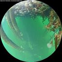 ./images/calvert/underwater/20260707/underwater20260707_085001M.jpg