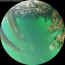 ./images/calvert/underwater/20260707/underwater20260707_085501M.jpg