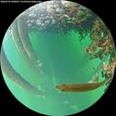 ./images/calvert/underwater/20260707/underwater20260707_090001M.jpg