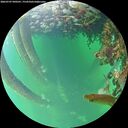./images/calvert/underwater/20260707/underwater20260707_090501M.jpg