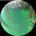 ./images/calvert/underwater/20260707/underwater20260707_092001M.jpg