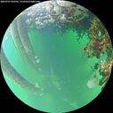 ./images/calvert/underwater/20260707/underwater20260707_092502M.jpg