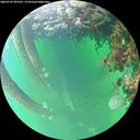 ./images/calvert/underwater/20260707/underwater20260707_093501M.jpg