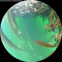 ./images/calvert/underwater/20260707/underwater20260707_094501M.jpg