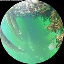 ./images/calvert/underwater/20260707/underwater20260707_095002M.jpg