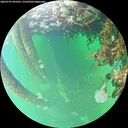 ./images/calvert/underwater/20260707/underwater20260707_095501M.jpg