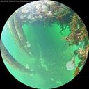 ./images/calvert/underwater/20260707/underwater20260707_100001M.jpg