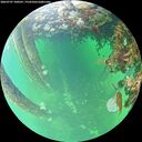 ./images/calvert/underwater/20260707/underwater20260707_100501M.jpg