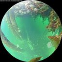 ./images/calvert/underwater/20260707/underwater20260707_101501M.jpg