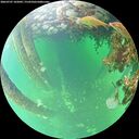 ./images/calvert/underwater/20260707/underwater20260707_102001M.jpg