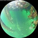 ./images/calvert/underwater/20260707/underwater20260707_102501M.jpg