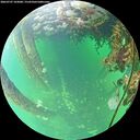 ./images/calvert/underwater/20260707/underwater20260707_103001M.jpg