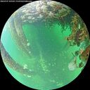 ./images/calvert/underwater/20260707/underwater20260707_103501M.jpg